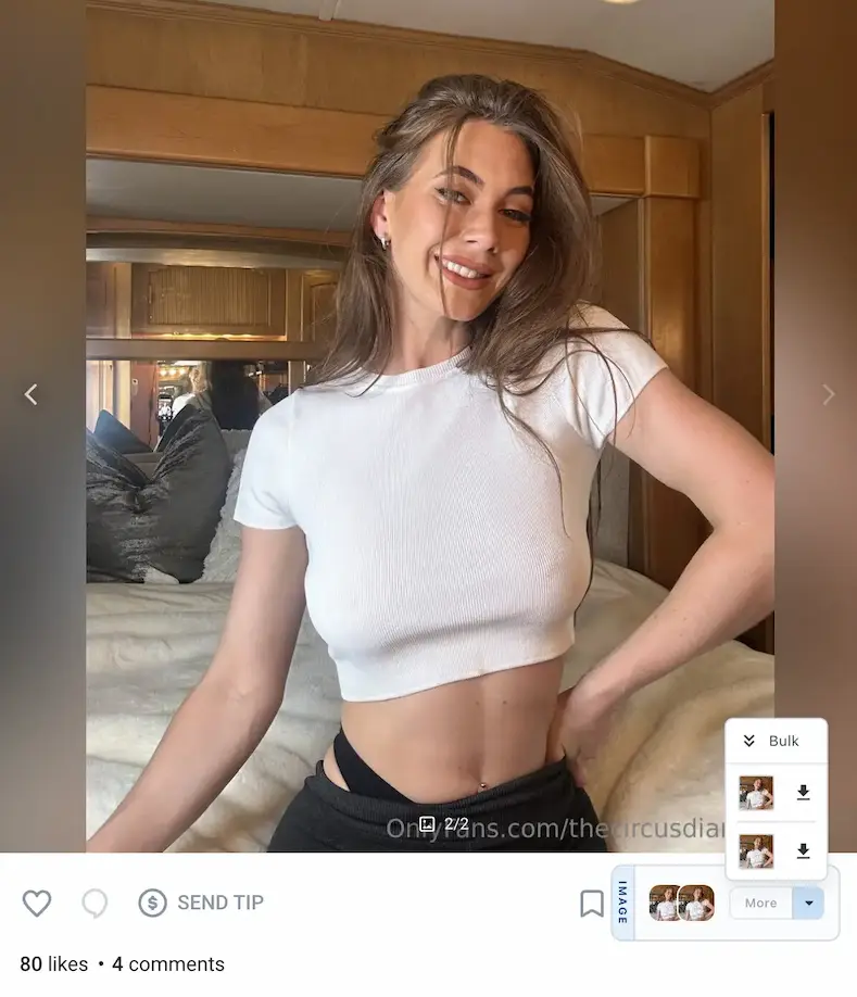 OnlyFans Image Downloader Button Group